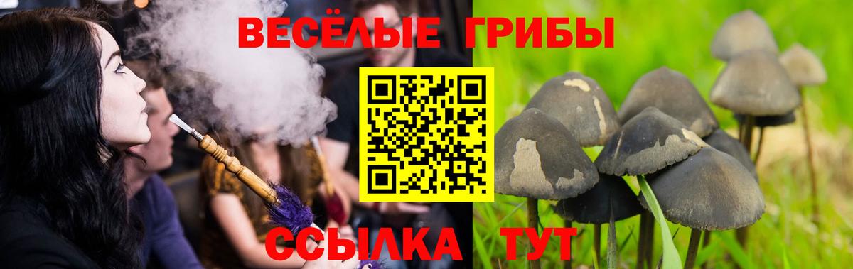 Галлюциногенные грибы мицелий Кувандык